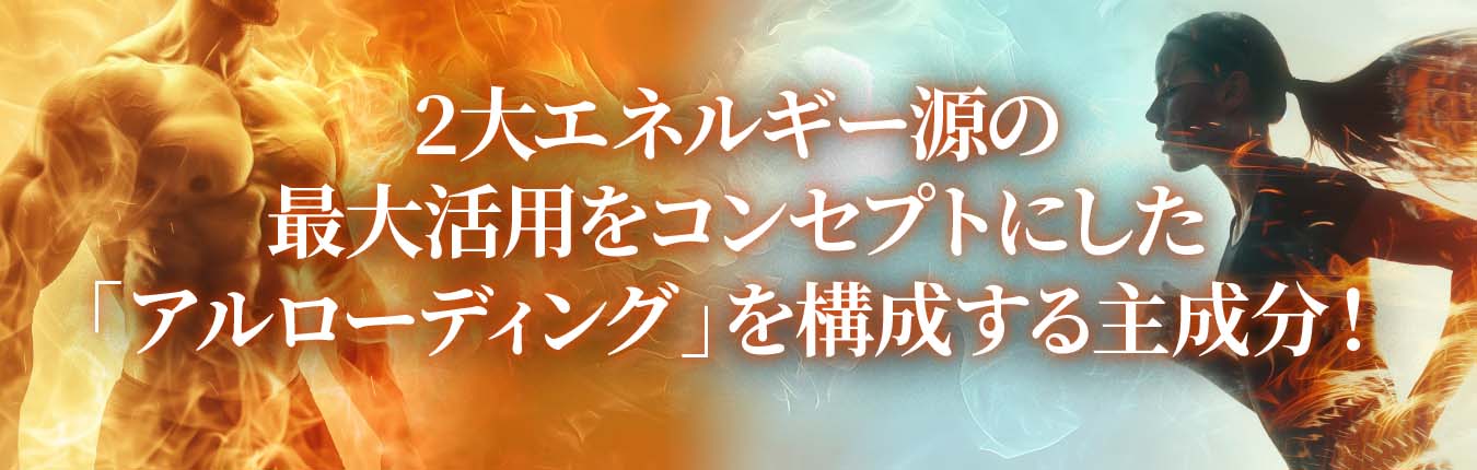 囲み1-1