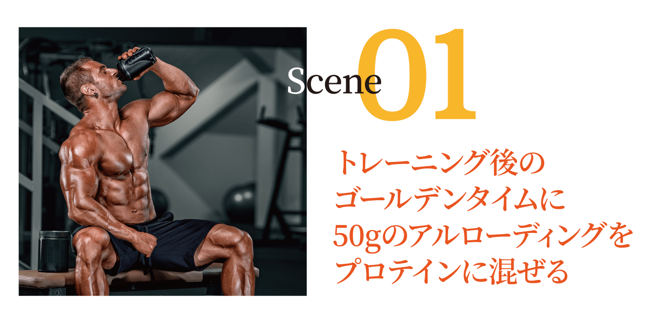 Scene01トレーニング後の
ゴールデンタイムに
50gのアルローディングを
プロテインに混ぜる