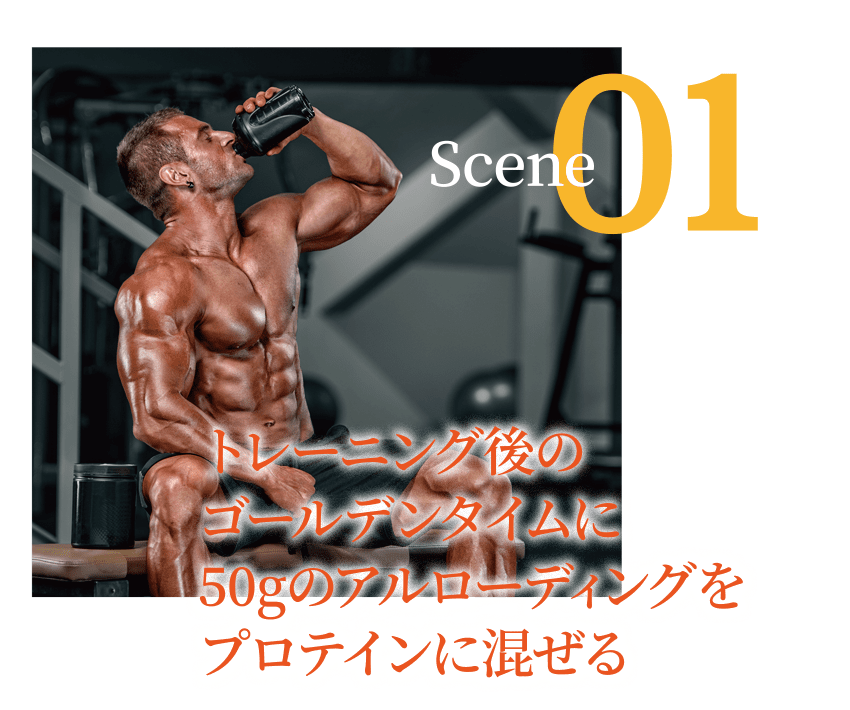 Scene01トレーニング後の
ゴールデンタイムに
50gのアルローディングを
プロテインに混ぜる