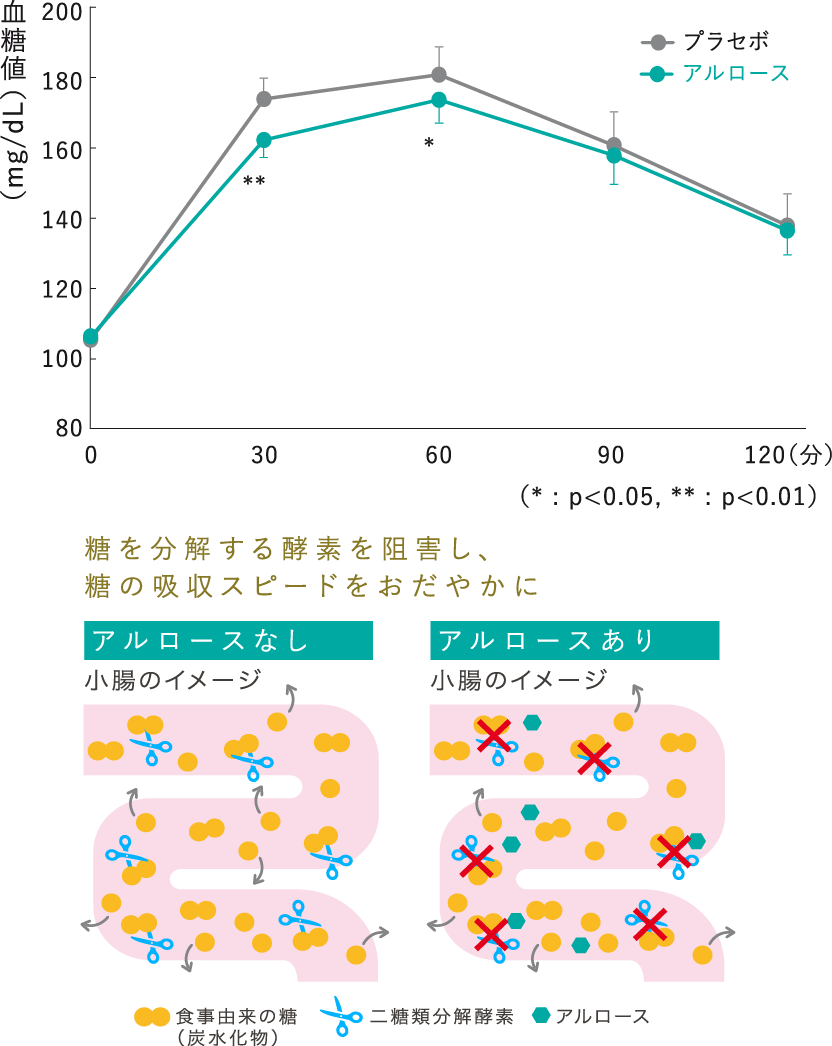 なぜ血糖上昇が緩やかになるの？