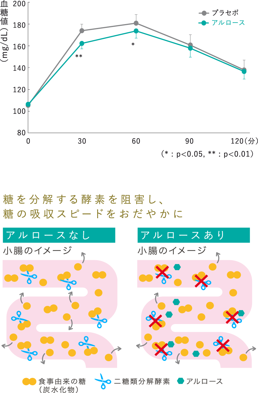 なぜ血糖上昇が緩やかになるの？