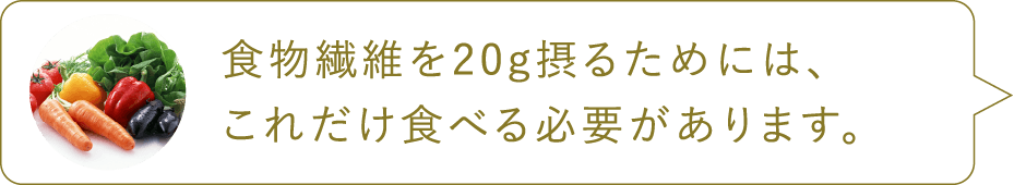 食物繊維を20g摂るためには、これだけ食べる必要があります。